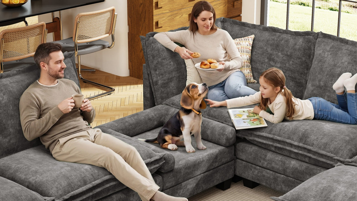 KKL 2-in-1 Removable Base Pet Couch