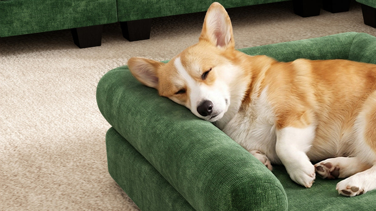 KKL 2-in-1 Removable Base Pet Couch