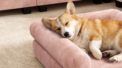 KKL 2-in-1 Removable Base Pet Couch