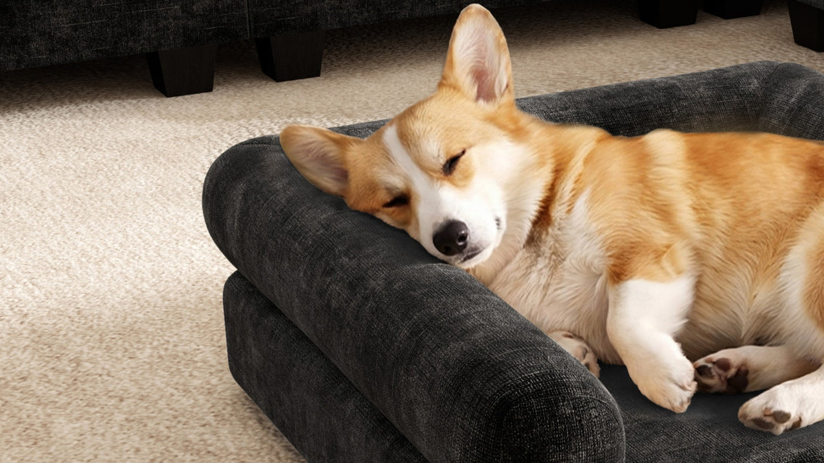 KKL 2-in-1 Removable Base Pet Couch