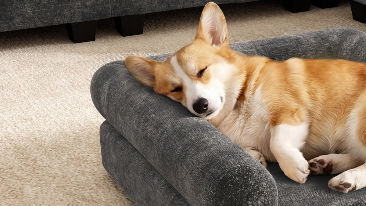 KKL 2-in-1 Removable Base Pet Couch