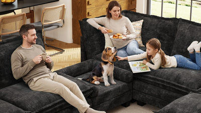 KKL 2-in-1 Removable Base Pet Couch