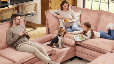 KKL 2-in-1 Removable Base Pet Couch