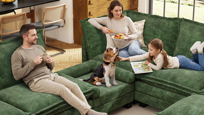 KKL 2-in-1 Removable Base Pet Couch