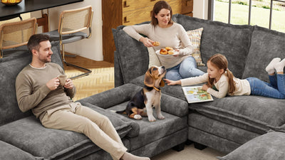 KKL 2-in-1 Removable Base Pet Couch