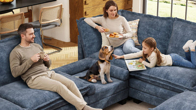 KKL 2-in-1 Removable Base Pet Couch