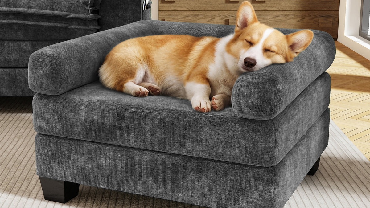 KKL 2-in-1 Removable Base Pet Couch
