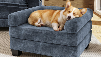KKL 2-in-1 Removable Base Pet Couch