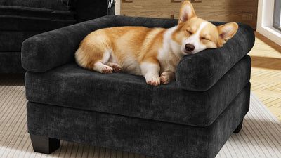 KKL 2-in-1 Removable Base Pet Couch