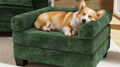 KKL 2-in-1 Removable Base Pet Couch