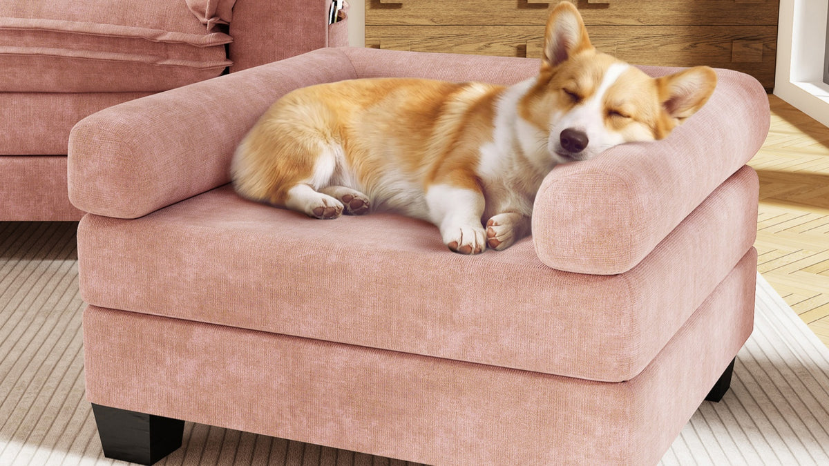KKL 2-in-1 Removable Base Pet Couch