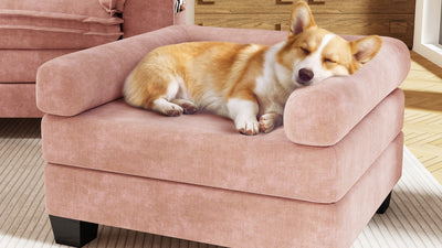 KKL 2-in-1 Removable Base Pet Couch