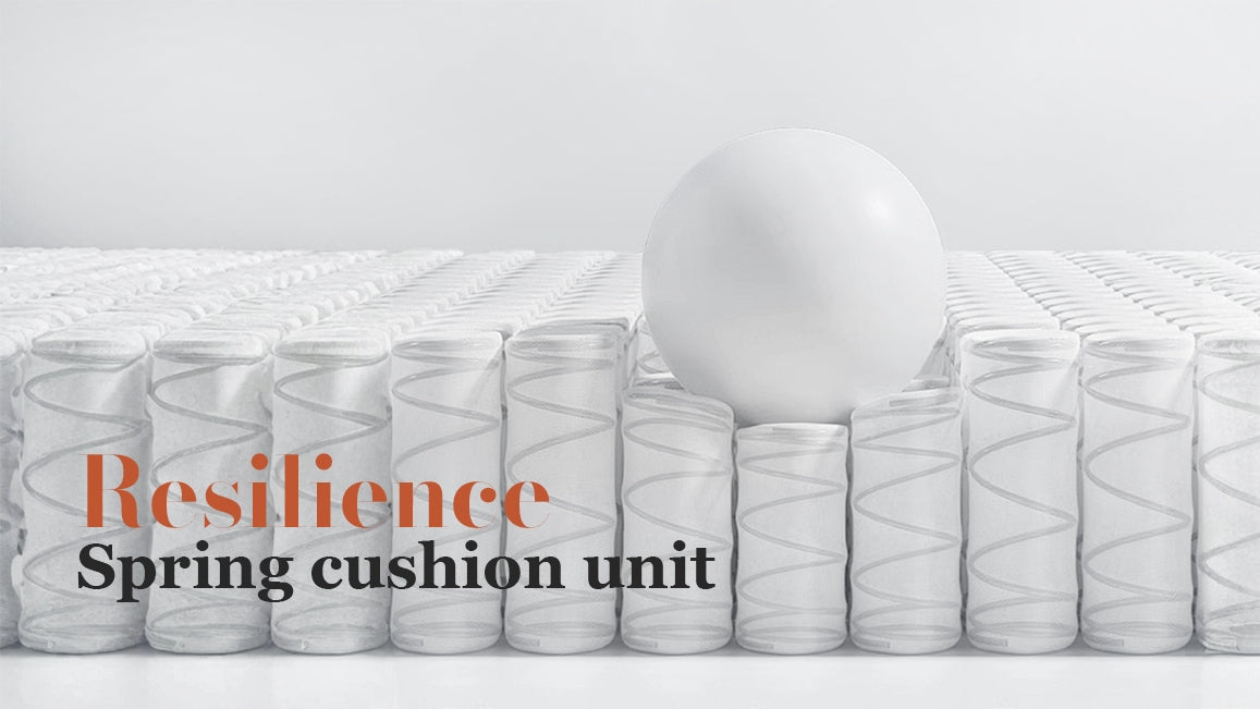 CLOUD Modular Compressed Sofa