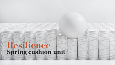 CLOUD 6 Seats U Shape Modular Compressed Sofa