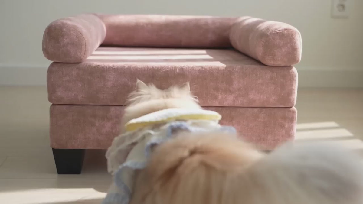 Load video: 